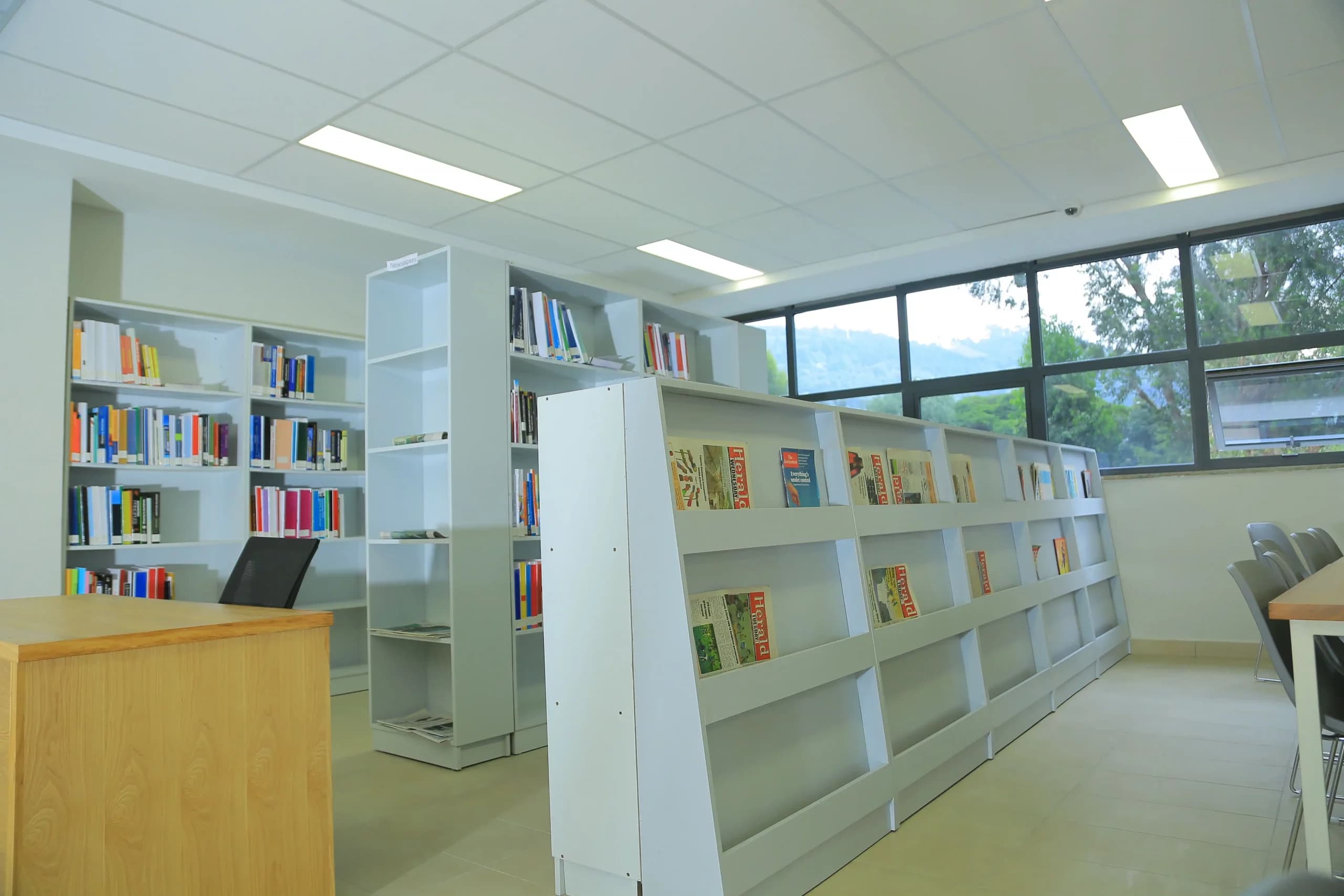 Library Reading Area