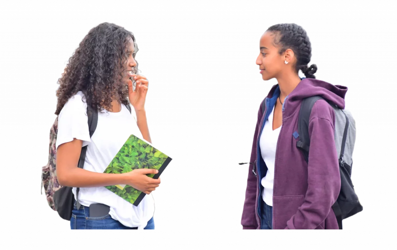Information Technology and Systems Overview